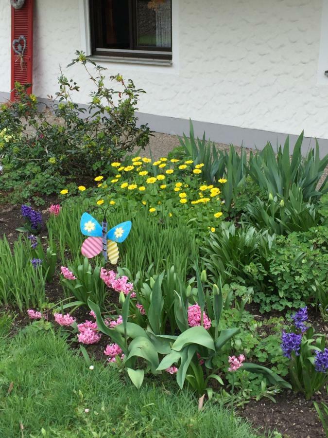 Ferienwohnung Pusteblume Алпирсбах Екстериор снимка